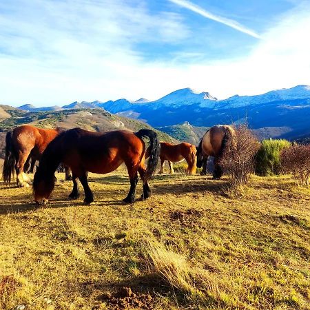 Appartamento La Casita De La Montana Alba de los Cardaños Esterno foto