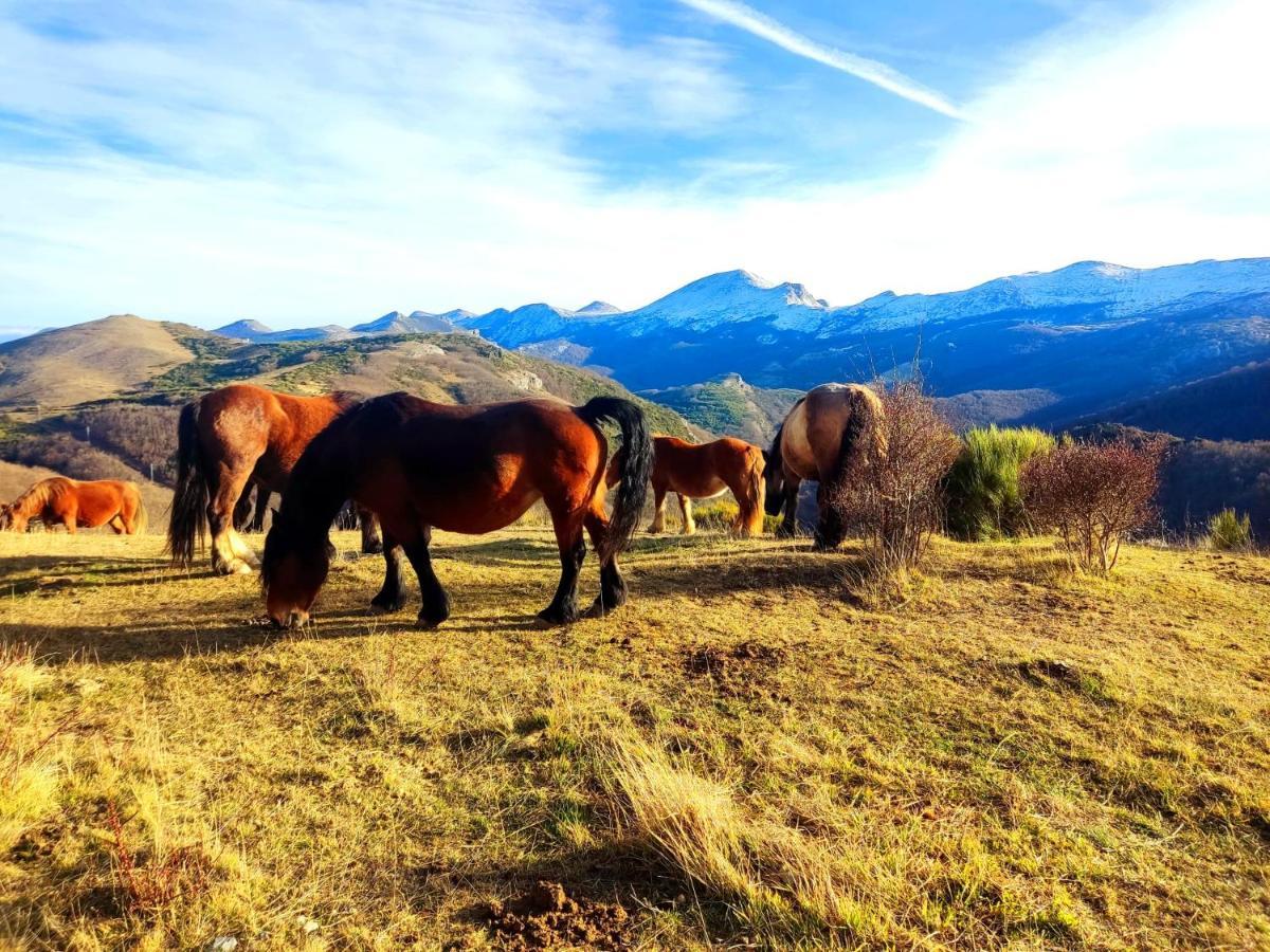 Appartamento La Casita De La Montana Alba de los Cardaños Esterno foto