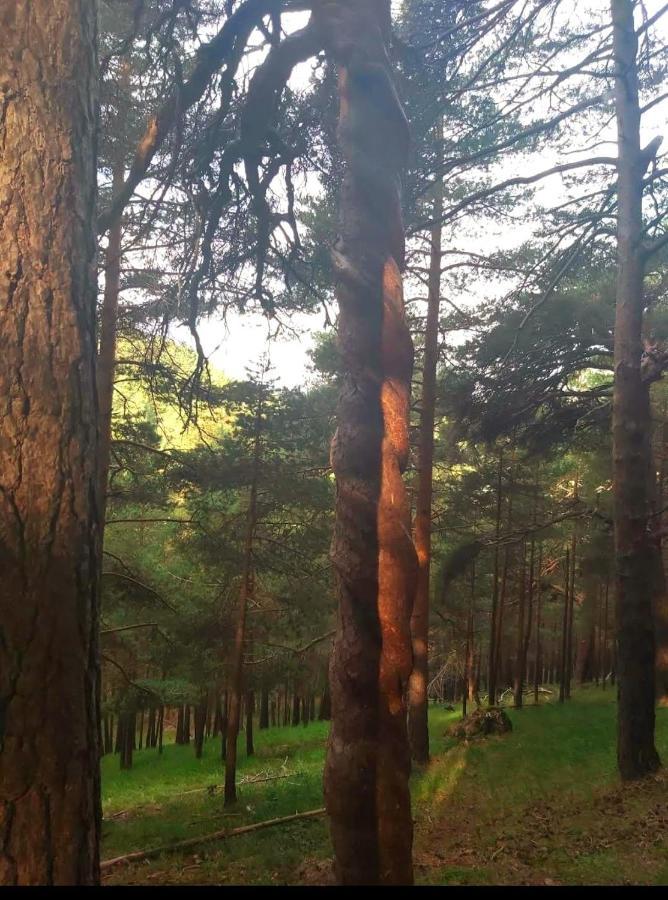 Appartamento La Casita De La Montana Alba de los Cardaños Esterno foto